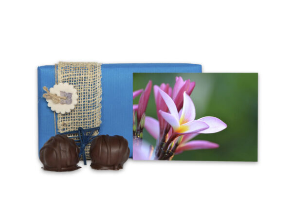 Original Manfla mit Grusskarte “Baliblume” als Geschenk verpackt