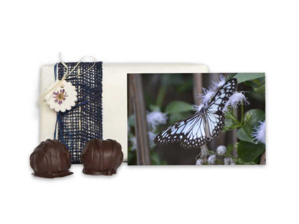 Original Manfla mit Grusskarte “Schmetterling” als Geschenk verpackt